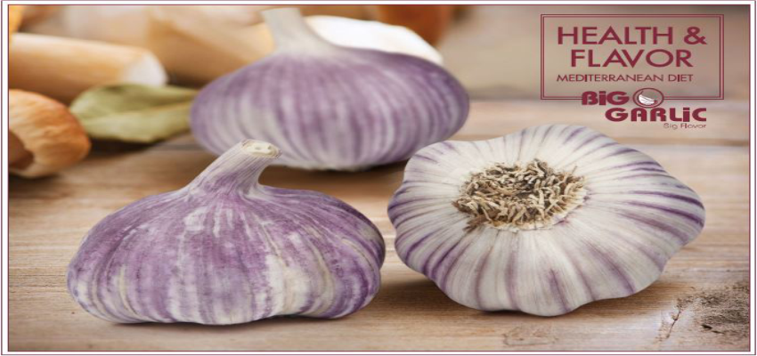 Big Garlic as a basic nutrition complement