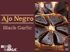 Black Garlic cardioprotective effect