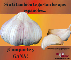 Me gustan los ajos españoles #BigGarlic#ConcursoFacebook#