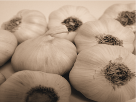 Big Garlic - Ajo Blanco