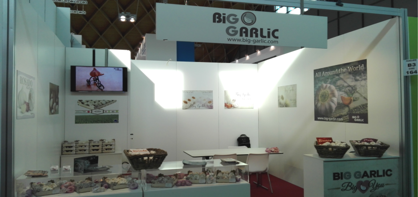 Big Garlic - Stand Macfrut 2016