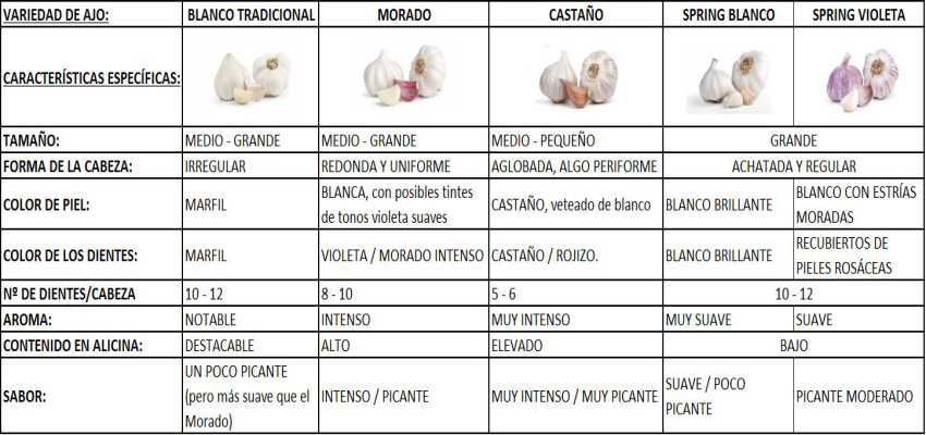 caracteisticas de 5 variedades de ajo