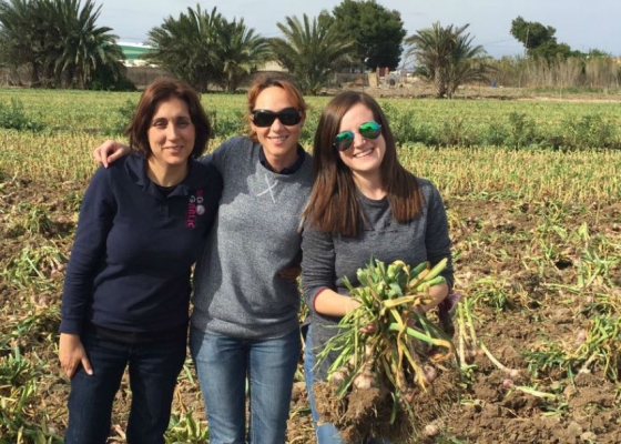 Equipo Big Garlic_ Cosecha 2016