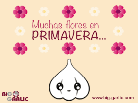 Ha llegado la Primavera!