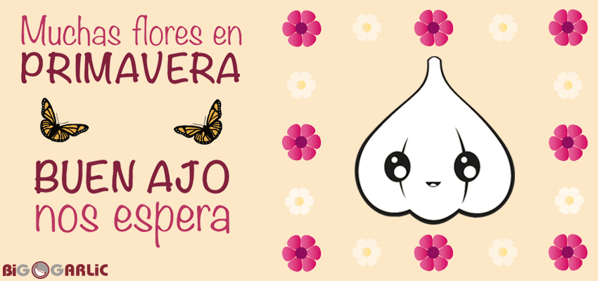 Ha llegado la Primavera!