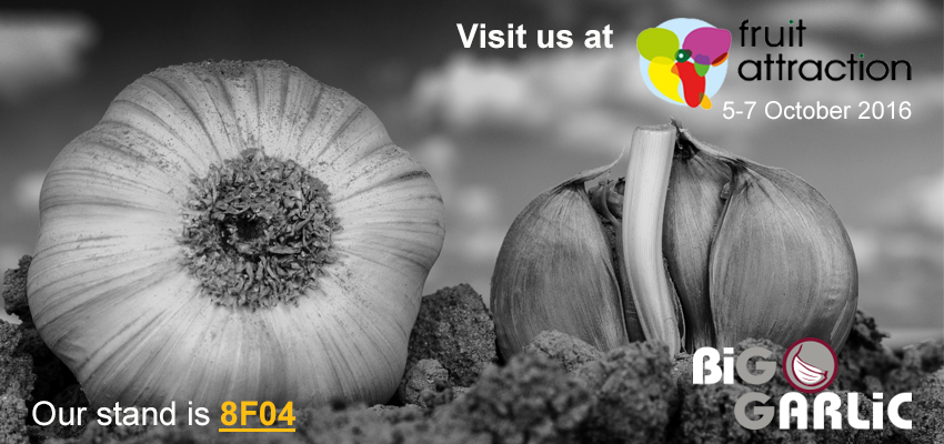 Big Garlic en Fruit Attraction 2016