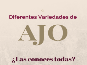 ¿Qué conoces de las diferentes variedades de ajo?