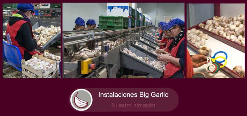 Nuestras Instalaciones